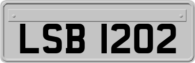 LSB1202