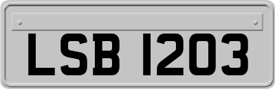 LSB1203