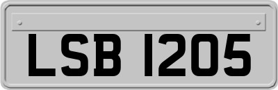 LSB1205