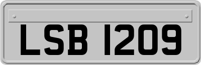 LSB1209