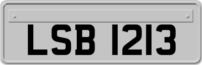 LSB1213