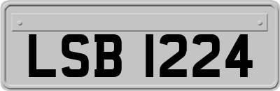 LSB1224