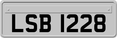 LSB1228