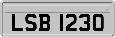 LSB1230