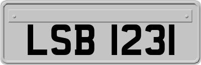 LSB1231