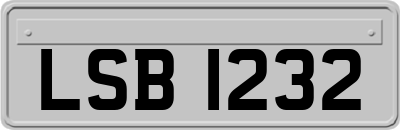 LSB1232