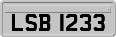 LSB1233