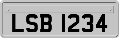 LSB1234