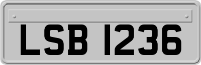 LSB1236