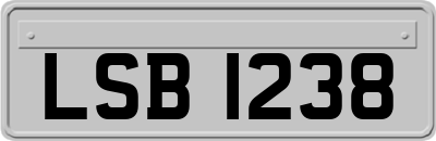 LSB1238