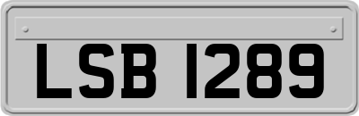 LSB1289