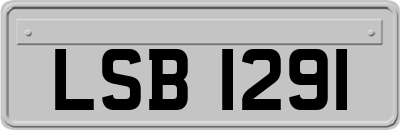 LSB1291