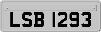LSB1293