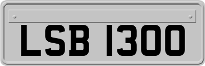 LSB1300