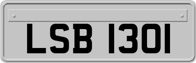 LSB1301
