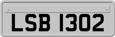 LSB1302