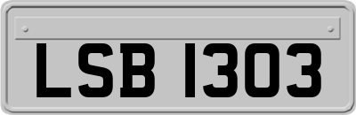 LSB1303