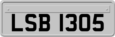 LSB1305