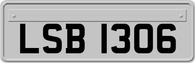 LSB1306