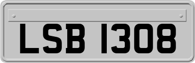 LSB1308