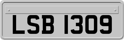 LSB1309
