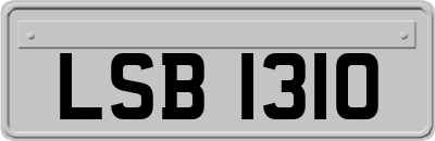 LSB1310