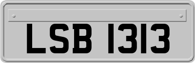 LSB1313