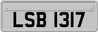 LSB1317