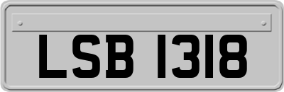 LSB1318