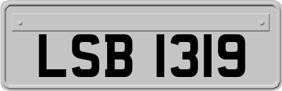 LSB1319