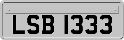 LSB1333
