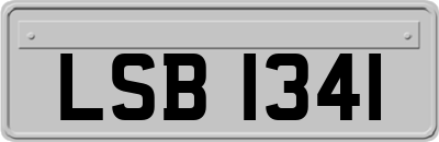 LSB1341