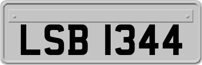 LSB1344