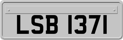 LSB1371