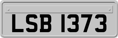 LSB1373