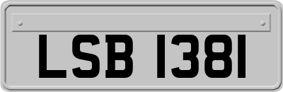 LSB1381