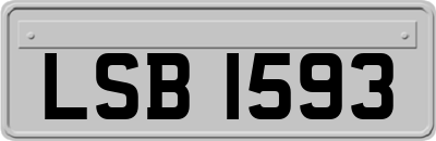 LSB1593