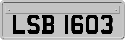 LSB1603