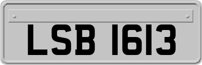 LSB1613