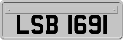 LSB1691