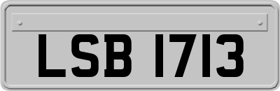 LSB1713