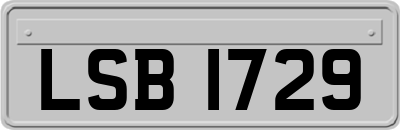 LSB1729