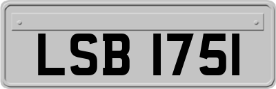 LSB1751