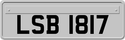 LSB1817