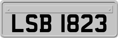 LSB1823