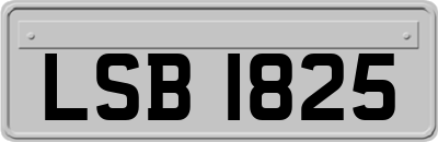 LSB1825