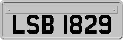 LSB1829