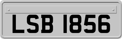 LSB1856