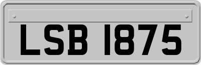 LSB1875