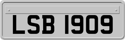 LSB1909